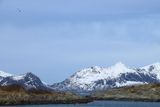 IMG_5935.JPG