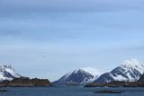 IMG_5938.JPG