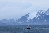 IMG_5940.JPG