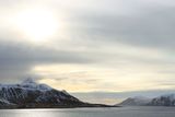 IMG_5960.JPG