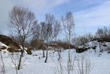 IMG_6280.JPG