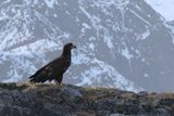 IMG_6109.JPG