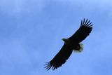 IMG_6157.JPG