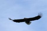 IMG_6159.JPG