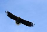 IMG_6161.JPG