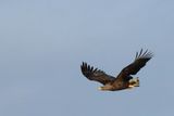 IMG_6184.JPG
