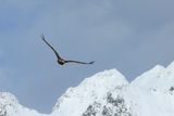 IMG_6188.JPG