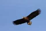 IMG_6207.JPG