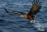 IMG_6212.JPG