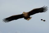 IMG_6214.JPG