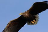 IMG_6218.JPG