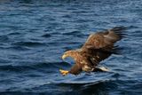 IMG_6220.JPG