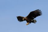 IMG_6229.JPG