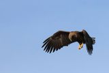 IMG_6231.JPG