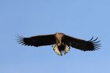 IMG_6233.JPG