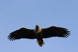 IMG_6240.JPG