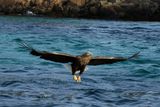 IMG_6252.JPG