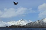 IMG_6254.JPG