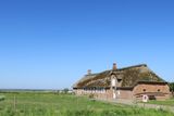 IMG_9487.JPG