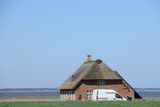 IMG_9494.JPG
