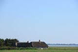 IMG_9544.JPG