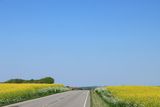 IMG_9553.JPG
