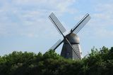 IMG_9571.JPG