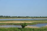 IMG_9573.JPG