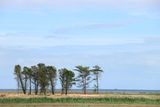 IMG_0954.JPG