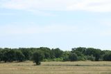 IMG_0957.JPG