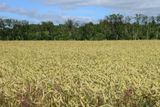 IMG_0959.JPG