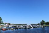 IMG_9591.JPG