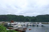 IMG_9678.JPG
