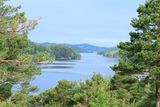 IMG_9885.JPG