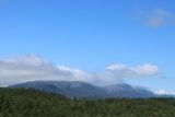 IMG_9926.JPG