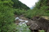 IMG_0015.JPG