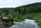 IMG_0131.JPG