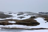 IMG_0151.JPG