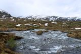 IMG_0179.JPG