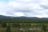 IMG_0378.JPG