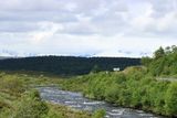 IMG_0403.JPG