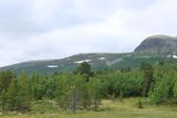 IMG_0488.JPG