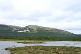 IMG_0492.JPG