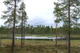 IMG_0499.JPG