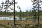 IMG_0500.JPG