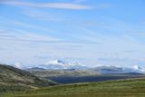 IMG_0559.JPG
