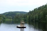IMG_0803.JPG