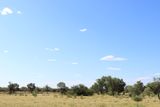 IMG_4077.JPG