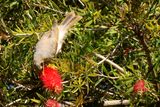 IMG_4235.JPG