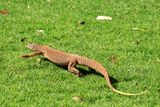 IMG_4252.JPG